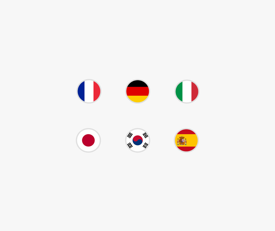 Флаги Германии, Испании, Италии, Франции, Южной Кореи и Японии.
